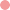 petit_point_rose